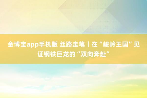 金博宝app手机版 丝路走笔丨在“峻岭王国”见证钢铁巨龙的“双向奔赴”