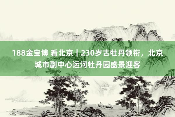 188金宝博 看北京｜230岁古牡丹领衔，北京城市副中心运河牡丹园盛景迎客
