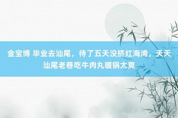 金宝博 毕业去汕尾，待了五天没挤红海湾，天天汕尾老巷吃牛肉丸暖锅太爽