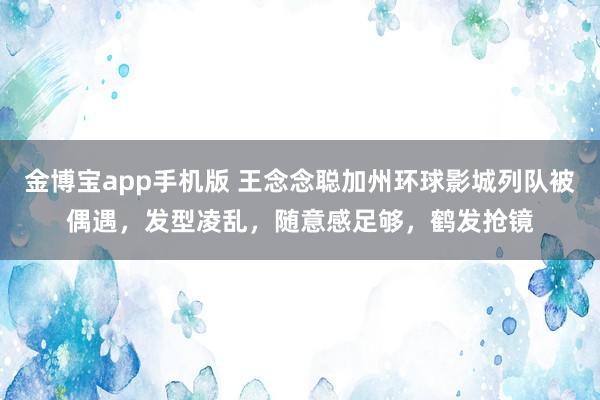 金博宝app手机版 王念念聪加州环球影城列队被偶遇，发型凌乱，随意感足够，鹤发抢镜