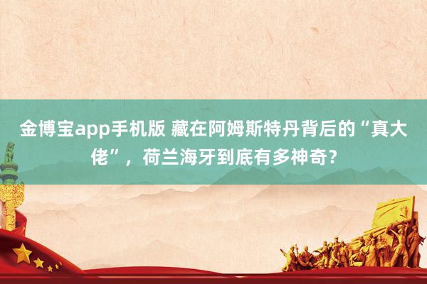 金博宝app手机版 藏在阿姆斯特丹背后的“真大佬”，荷兰海牙到底有多神奇？
