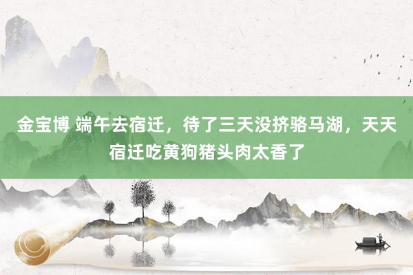 金宝博 端午去宿迁，待了三天没挤骆马湖，天天宿迁吃黄狗猪头肉太香了