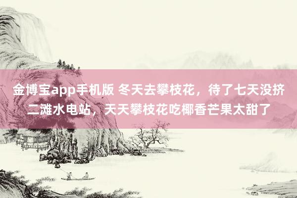 金博宝app手机版 冬天去攀枝花，待了七天没挤二滩水电站，天天攀枝花吃椰香芒果太甜了