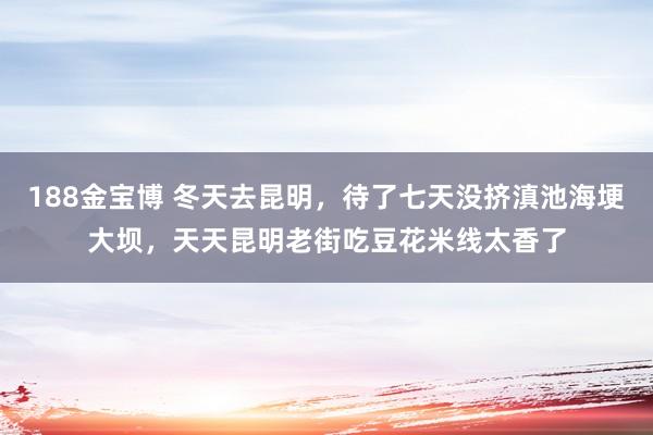 188金宝博 冬天去昆明，待了七天没挤滇池海埂大坝，天天昆明老街吃豆花米线太香了