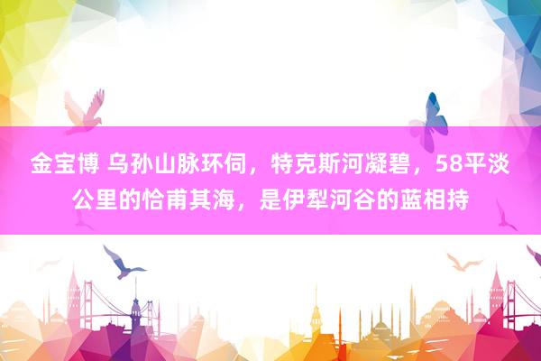 金宝博 乌孙山脉环伺，特克斯河凝碧，58平淡公里的恰甫其海，<a href=